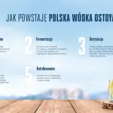 Proces tworzenia polskiej wódki Ostoya: wybór surowców, fermentacja, destylacja, mieszanie i butelkowanie.