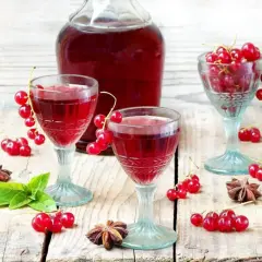 Aromatyczna nalewka z czerwonej porzeczki w kieliszkach, ozdobiona świeżymi owocami i anyżem.