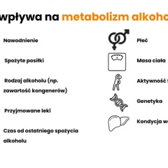Ile trwa trzeźwienie po 6 piwach? Sprawdź, co musisz wiedzieć