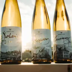 Trzy butelki białego wina Winnica Aris: Solaris, Muscat i Sauvignon Blanc, stojące na tle zachodzącego słońca.