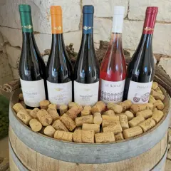 Pięć butelek wina, w tym różowe, na beczce pełnej korków. Idealne na tanie wino i wieczorne degustacje.