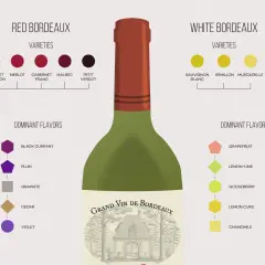 Schemat porównuje odmiany i smaki czerwonego i białego wina bordeaux. Czerwone bordeaux ma nuty czarnej porzeczki, śliwki, grafitu, cedru i fiołka.