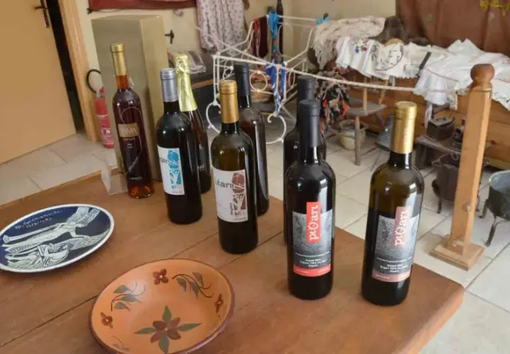 Wino z Ikarii: Gdzie kupić? Sprawdzone tropy i alternatywy