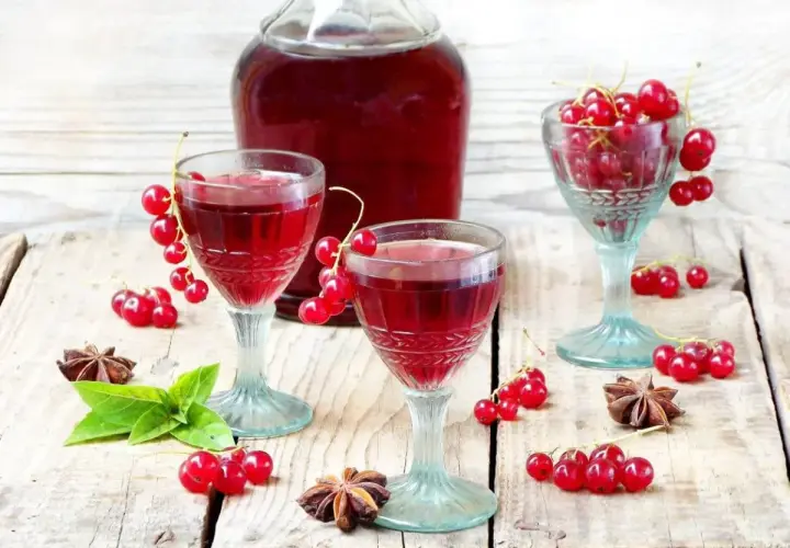 Aromatyczna nalewka z czerwonej porzeczki w kieliszkach, ozdobiona świeżymi owocami i anyżem.