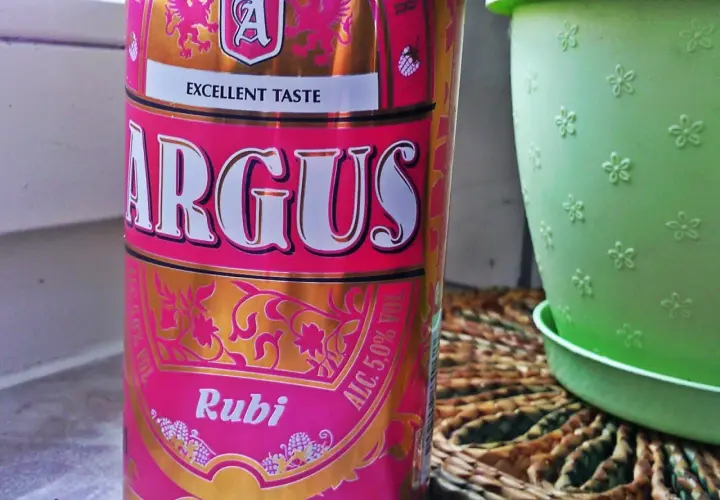 Puszka piwa Argus Rubi z napisem "Excellent Taste", obok zielona doniczka.