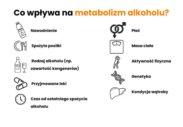 Ile trwa trzeźwienie po 6 piwach? Sprawdź, co musisz wiedzieć