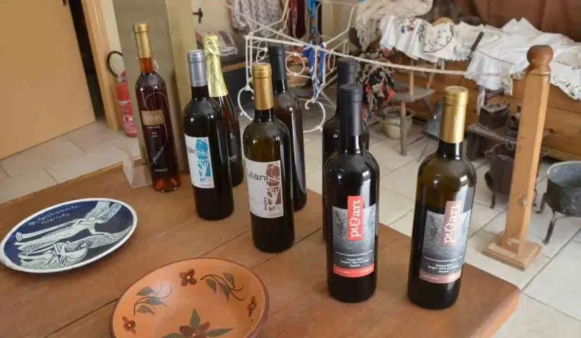 Wino z Ikarii: Gdzie kupić? Sprawdzone tropy i alternatywy