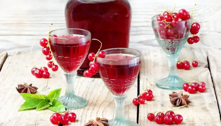 Aromatyczna nalewka z czerwonej porzeczki w kieliszkach, ozdobiona świeżymi owocami i anyżem.