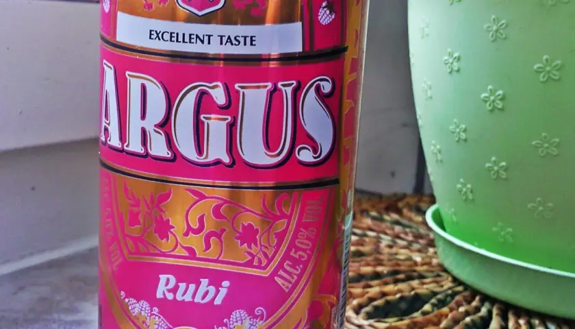 Puszka piwa Argus Rubi z napisem "Excellent Taste", obok zielona doniczka.