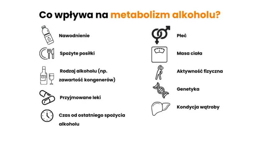 Ile trwa trzeźwienie po 6 piwach? Sprawdź, co musisz wiedzieć
