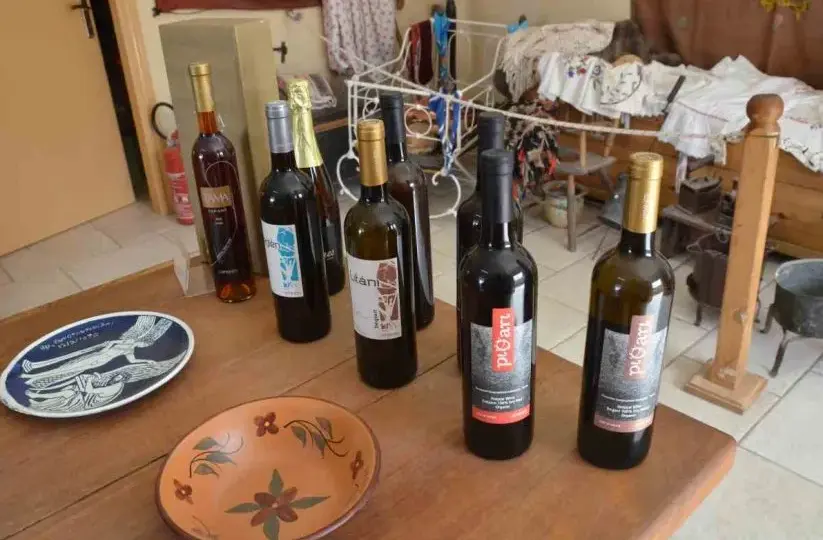Wino z Ikarii: Gdzie kupić? Sprawdzone tropy i alternatywy