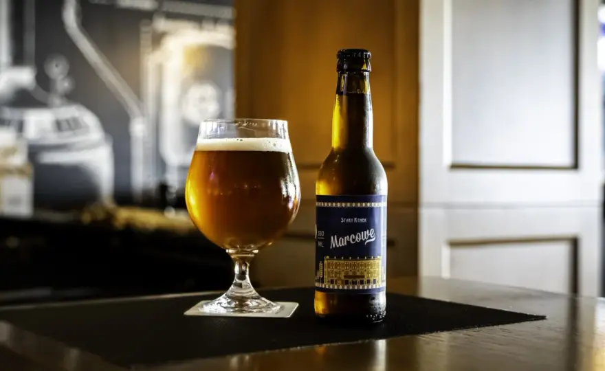 Piwo Marcowe - Niedoceniony lager? Poznaj jego smak i historię
