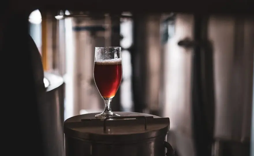 Gambrinus - Jaki czeski lager wybrać i z czym smakuje?