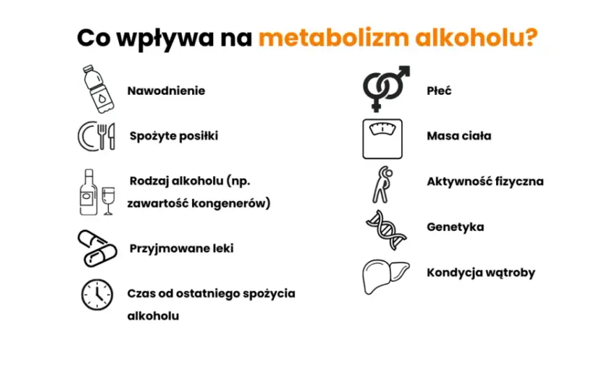 Ile trwa trzeźwienie po 6 piwach? Sprawdź, co musisz wiedzieć