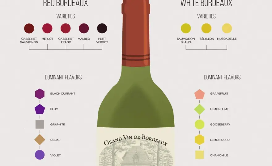 Wina Bordeaux - Rozszyfruj etykiety i smaki