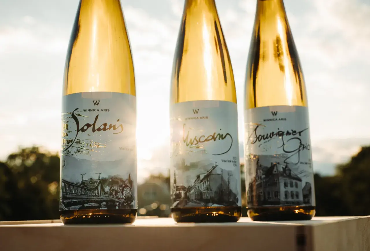 Trzy butelki białego wina Winnica Aris: Solaris, Muscat i Sauvignon Blanc, stojące na tle zachodzącego słońca.