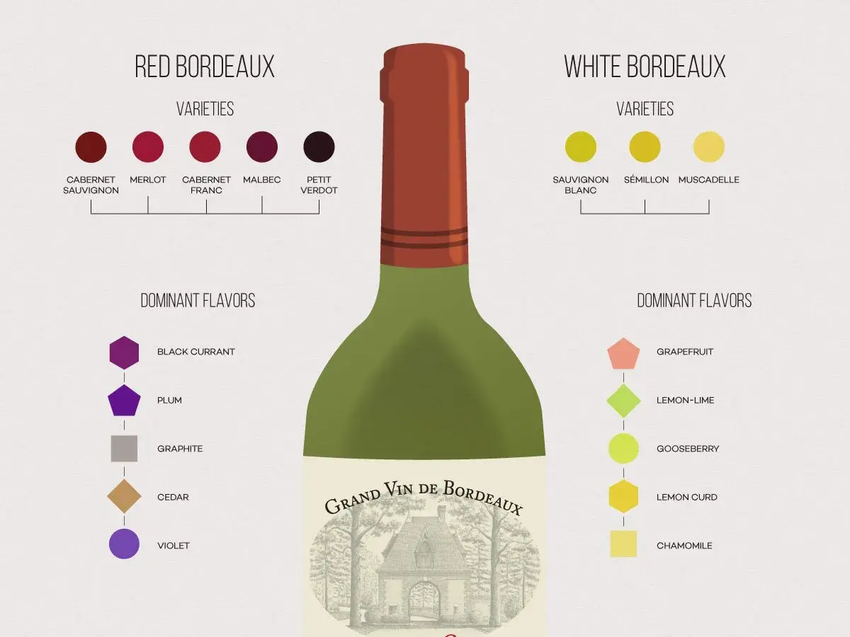 Schemat porównuje odmiany i smaki czerwonego i białego wina bordeaux. Czerwone bordeaux ma nuty czarnej porzeczki, śliwki, grafitu, cedru i fiołka.