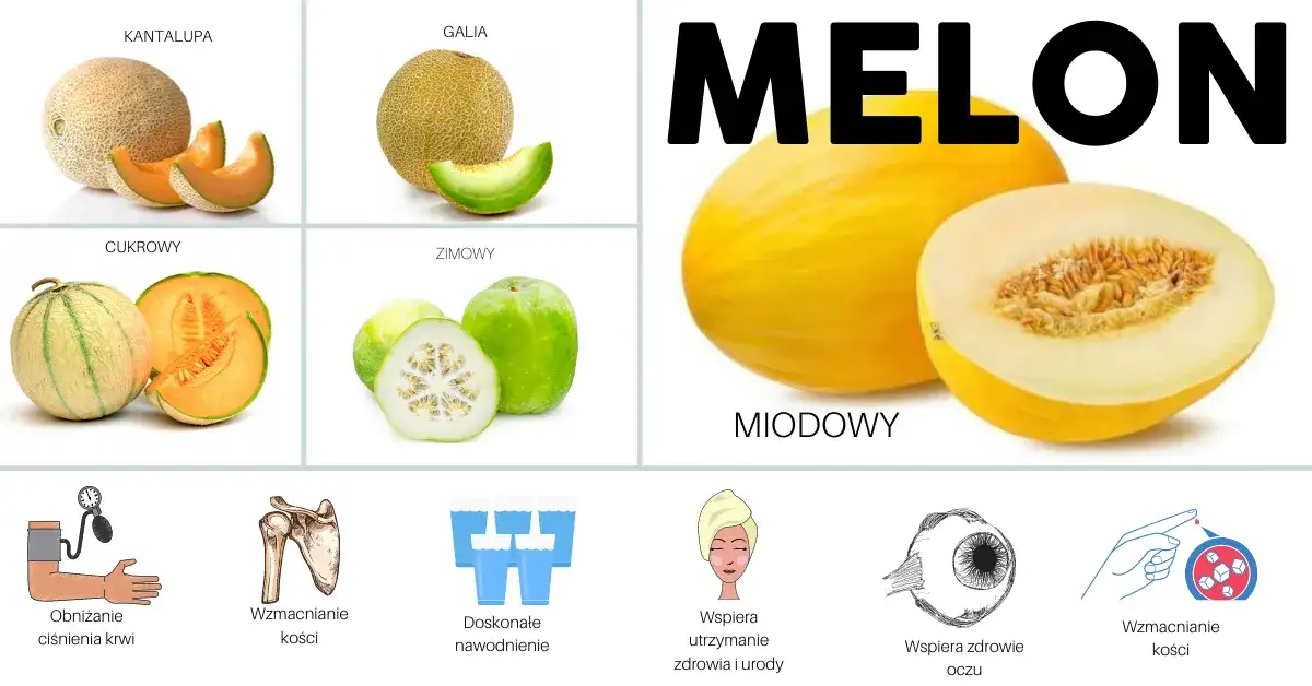 rodzaje melonów do koktajli