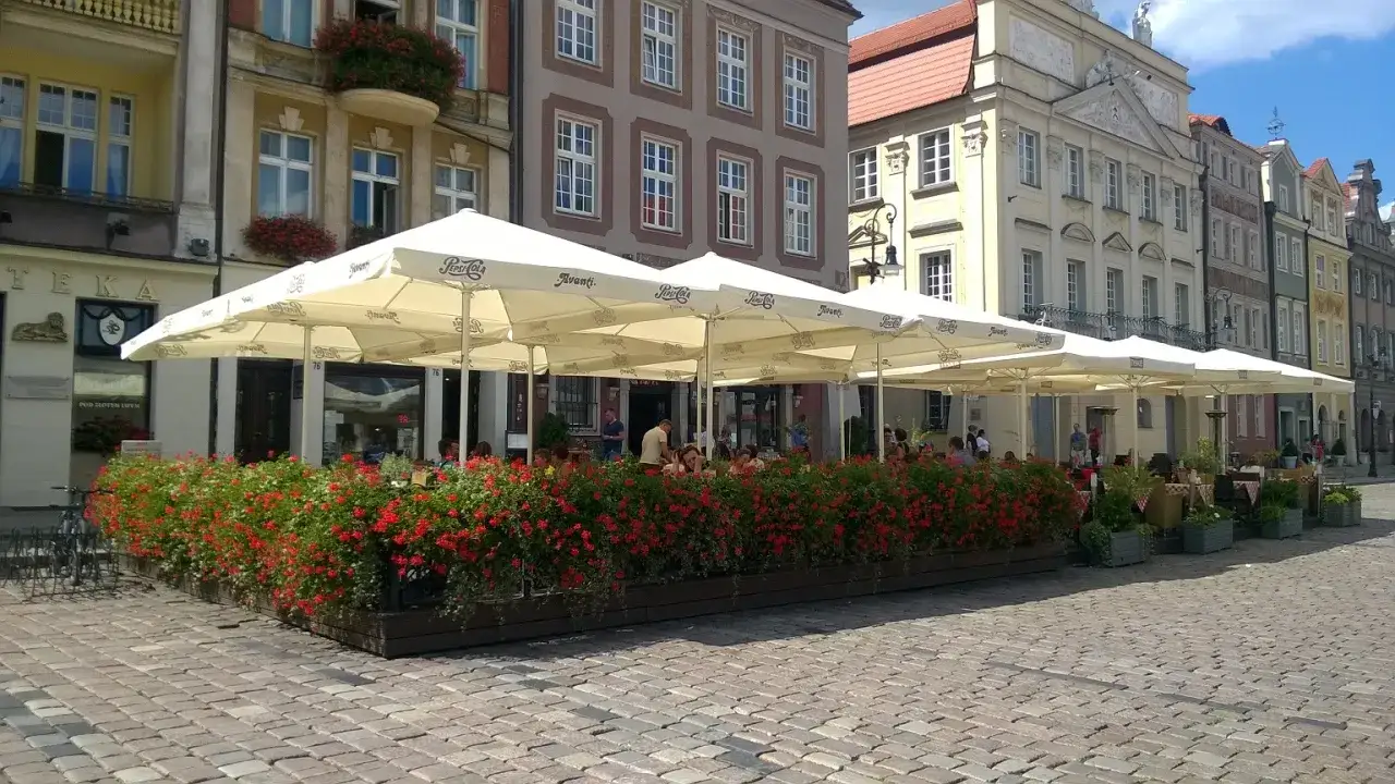Ogr&oacute;dek piwny Poznań lato