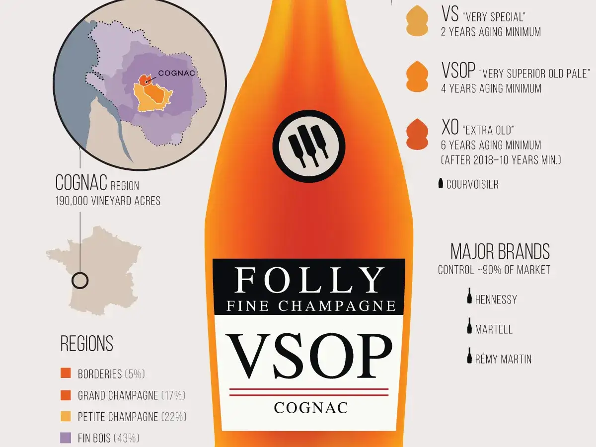 Infografika o koniaku i brandy: region produkcji, klasy starzenia (VS, VSOP, XO) i główne marki.